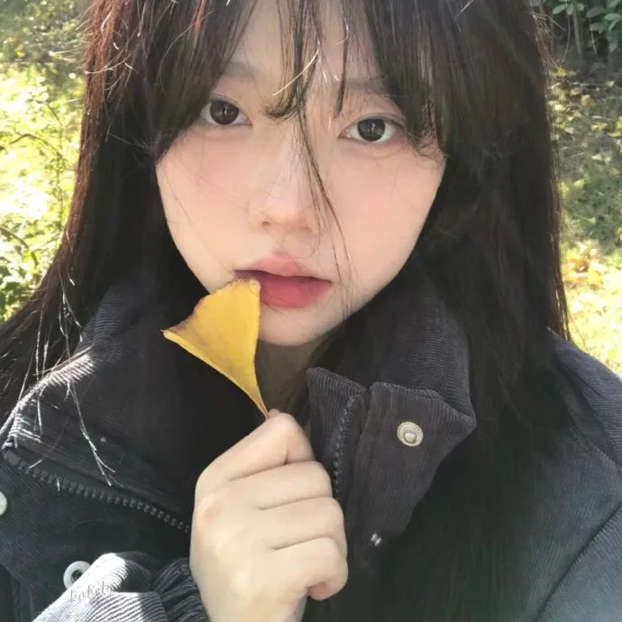 孤帆长夜归途